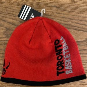 Raptors Winter Beanie